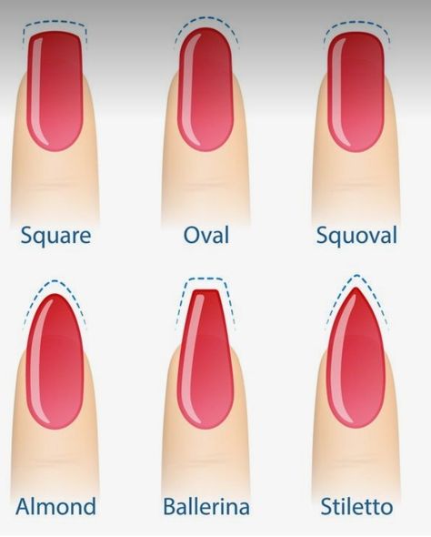 Nails Practice, Shaping Nails, Nail Shape Chart, Types Of Nails Shapes, Nails Shapes, Oval Shaped Nails, Shape Chart, Squoval Nails, Shaped Nails