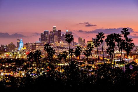 Ironic Downtown Los Angeles Palm Tree lined skyline photographed at dusk showcasing all of the city's glowing lights.  Title  "LA Vice"  Photo by: Aron Kearney Select from Print, Canvas, Metal Print, or Framed Print using the drop-down menus above. Custom Sizes Available: Contact me for a quote. Option Details: *Photo Paper Prints: Professionally printed on archival lustre photo paper with a lifespan of over 100 years. *Canvas Prints: Printed directly onto canvas and stretched over a 1.25" woode Macbook Wallpaper Los Angeles, Night City Landscape Photography, La Night Aesthetic, Los Angeles Aesthetic Night, Downtown Los Angeles At Night, La Palm Trees, Los Angeles Palm Trees, Los Angeles At Night, Los Angeles Pictures