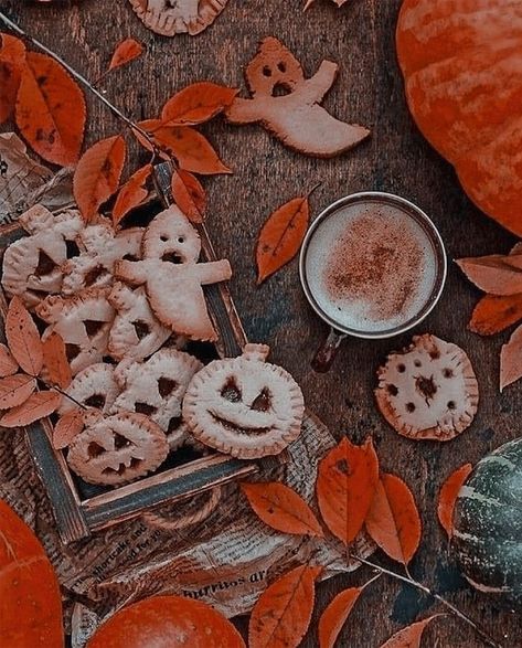 Halloween Apps, Helloween Wallpaper, Halloween Wallpaper Cute, Halloween Facts, Winter Pins, Halloween Wallpaper Iphone, Season Of The Witch, Fall Pictures, Halloween Pictures