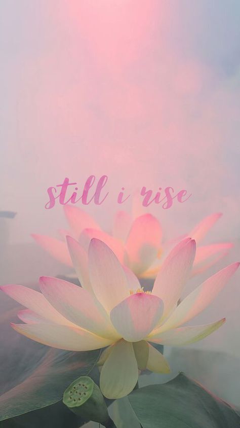 Lotus Flower Quote, Lotus Flower Wallpaper, Flower Hd, Lotus Flower Painting, Background Cool, Animals Quotes, White Lotus Flower, Lotus Flower Art, Quote Wallpaper