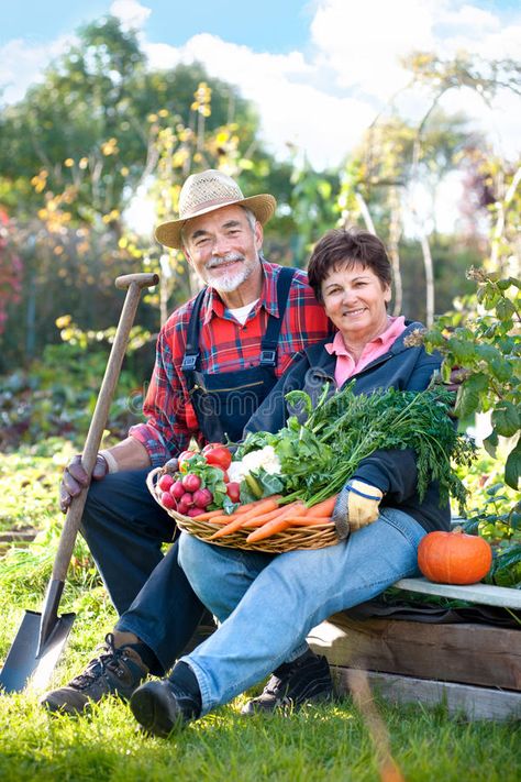 Gardening. Senior couple with a basket of harvested vegetables in the garden , #ad, #couple, #Senior, #Gardening, #basket, #garden #ad Senior Gardening, Family Chiropractic, Senior Health, Elderly People, Chiropractic Care, Senior Living, Chiropractic, Growing Old, In The Garden