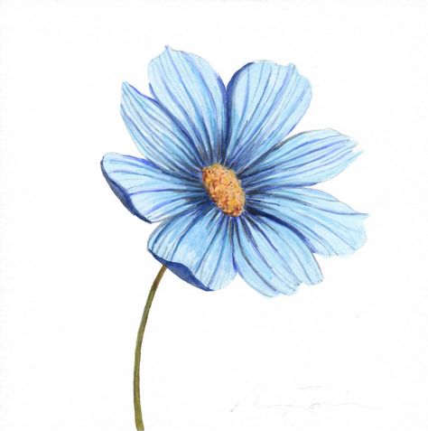 Angela Faustina, Blue Flower Watercolor, Watercolor Study, Blue Flower Art, Watercolor Pencil Art, Pencil Drawings Of Flowers, Whimsical Art Journal, Cats Art Drawing, Doodle Art Flowers