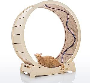 Star Cat Wheel, Cat Treadmill, Exercise Wheel for Running, Spinning, Scratching, and Climbing for Indoor Cats, Premium Birch Wood, Eco-Friendly, Moving Fish, Wide Running Track, 41.7 inch L Size Cat Running Wheel, Cat Treadmill, Cat Running, Cat Wheel, Cat Exercise Wheel, Treadmill Running, Giant Cat, Cat Exercise, Exercise Wheel