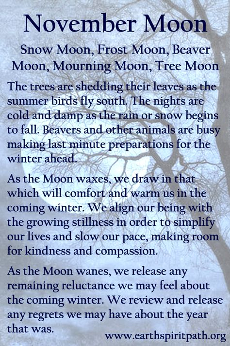 September Full Moon Correspondences, Moon Correspondences, Full Moon Correspondences, Blue Moon Correspondences, Moon Phases Correspondences, November Full Moon, Frost Moon, Full Moon Names, Full Moon Spells