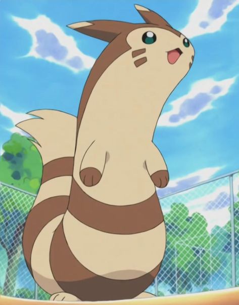 Furret Pokemon, Bug Type Pokemon, Cursed Anime Pics, Cursed Anime Images, Hisuian Zoroark, Pokemon Family, All Hd Wallpaper, Nerd Boy, Cursed Anime