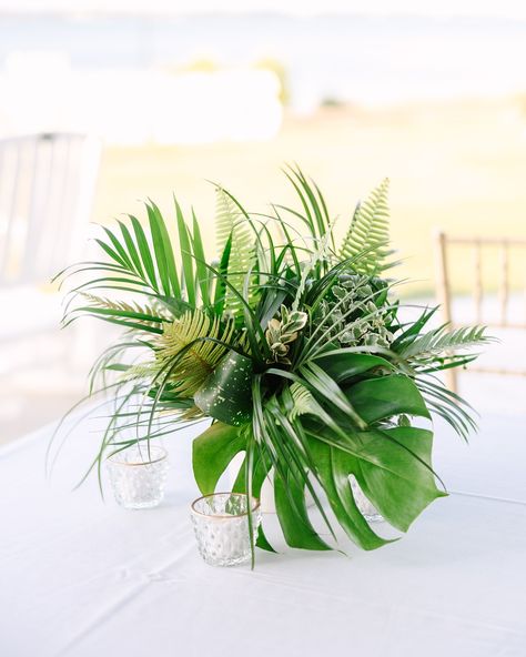 Tropical Greenery Arrangements, Tropical Plant Wedding Decor, Grenada Wedding, Whiskey Party, Garden Gala, Plant Centerpieces, Tropical Centerpieces, Pineapple Wedding, Tropical Glam