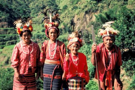 Ifugao women show their traditional costumes as they stand among rice terraces built by their ancestors and maintained by&nbs Ifugao Costume, Film Black Panther, Dora Milaje, Neck Rings, Fierce Women, Asian Inspiration, Costume Women, African Heritage, Native Style