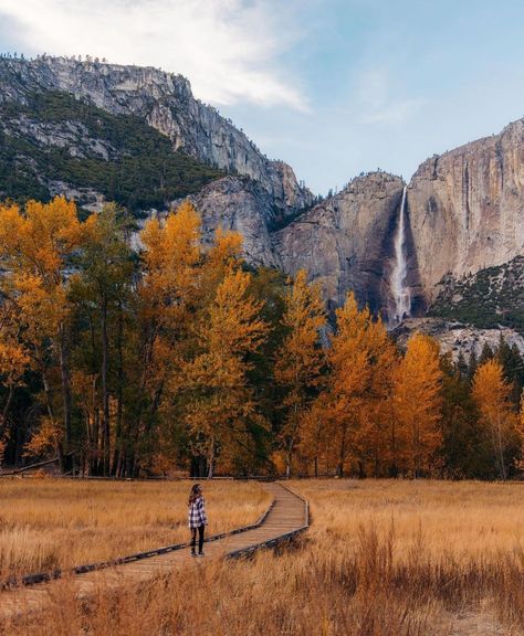 Yosemite National Park 🌲🍂 These days are right around the corner… 🍁 Fall is coming, and I can't wait to see the leaves change in this breathtaking place. Who else is excited for autumn adventures? 📸@blainescinta #yosemitenationalpark #yosemite #autumnadventures #naturelovers #explorecalifornia #nationalparks #hikingadventures #outdoorlife #wanderlust #fallcolors #adventureawaits #beautifuldestinations #naturephotography #travelcalifornia #exploremore #autumnleaves #getoutside #hikinggoals #... Yosemite Autumn, Mountain Aesthetic, Mountain Landscapes, Fall Is Coming, Yosemite Falls, Breathtaking Places, Mountain Photography, Aesthetic Fall, Smoky Mountain