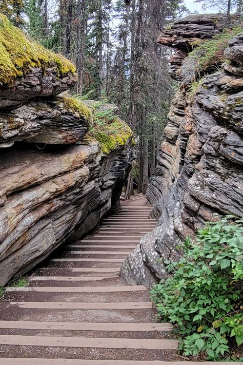 Banff To Jasper Drive - 20 Best Stops On The Way - Forever Karen Jasper National Park Canada, Country List, Alberta Travel, Icefields Parkway, Channel Islands National Park, Visit Yellowstone, Canada National Parks, Banff Canada, Canadian Travel