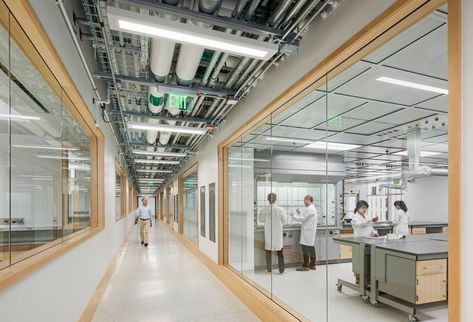 Laboratory Architecture, Laboratory Idea, Project Alpha, Laboratory Design, Pathology Lab, Architectural Engineering, Chemistry Labs, Architecture Building Design, Laboratory Science