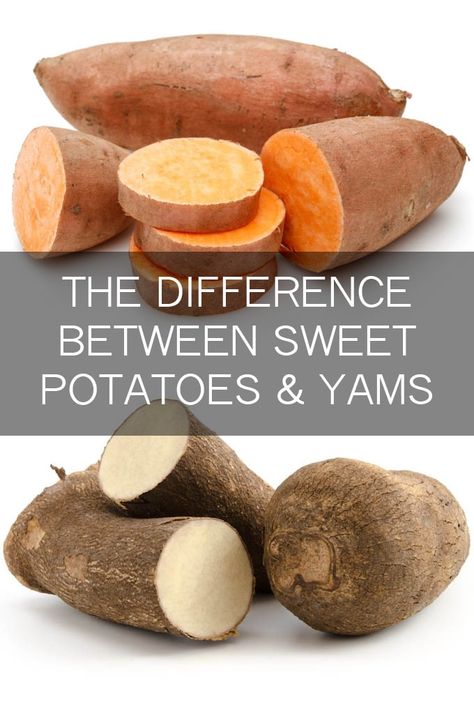 Difference Between Yams And Sweet Potato, Yam Vs Sweet Potato, Are Sweet Potatoes Good For You, Red Yams Recipes, White Yams Recipe, Recipes For Yams, Yam Recipes Healthy, Wild Yam Benefits For Women, African Yams Recipe