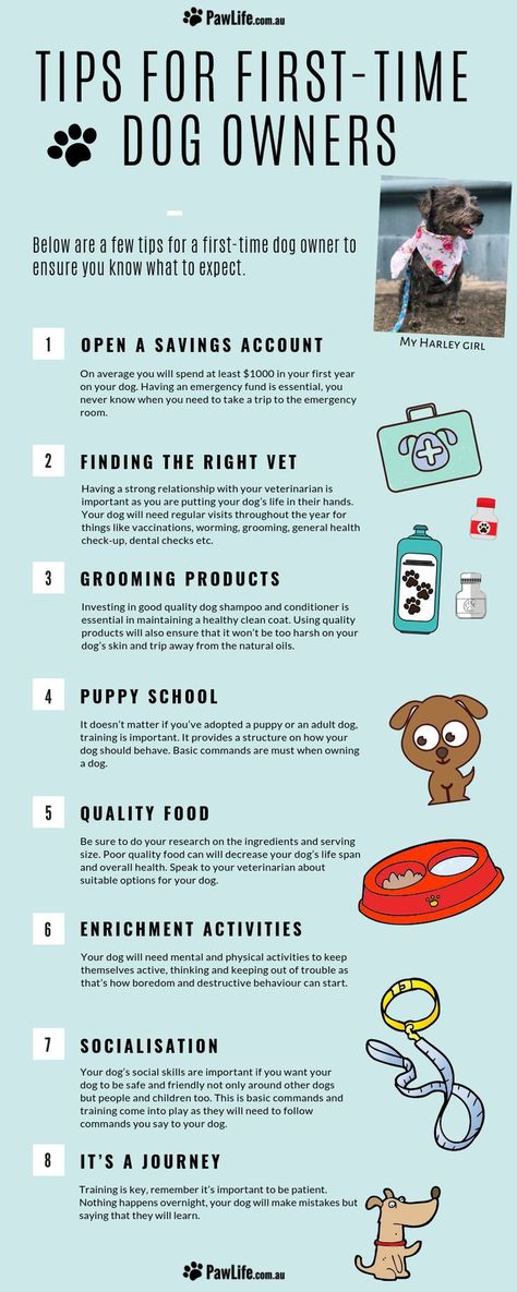 Puppy Checklist, Dogs Tips, Dog Breeding, Dog Pitbull, Puppies Tips, Dog Health Tips, Dog Tips, Dog Health Care, Dog Care Tips