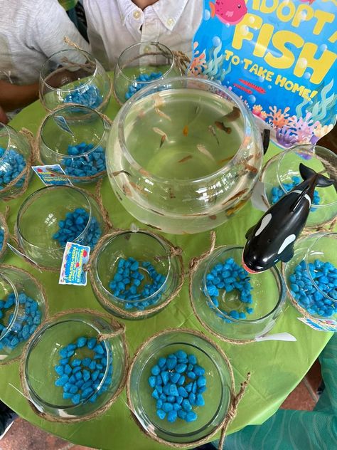 Before you swim away....Adopt a fish to take home! Adopt A Fish Party Favor, Nemo Party Favors, Fishing Party Favors, Animal Party Favors, Pet Party, 2nd Birthday Boys, Adoption Party, Fishing Party, Birthday Boys