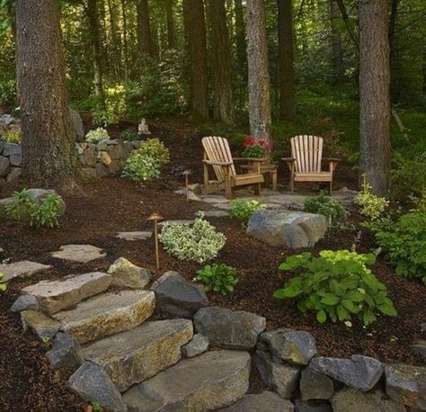 Landscaping Center Of Circle Drive, Cabin In The Woods Landscaping Ideas, Backyard Rocks, Grass Alternatives, Wooded Backyard Landscape, Forest Landscaping, Wooded Backyard, Landscape Luxury, Terraced Backyard