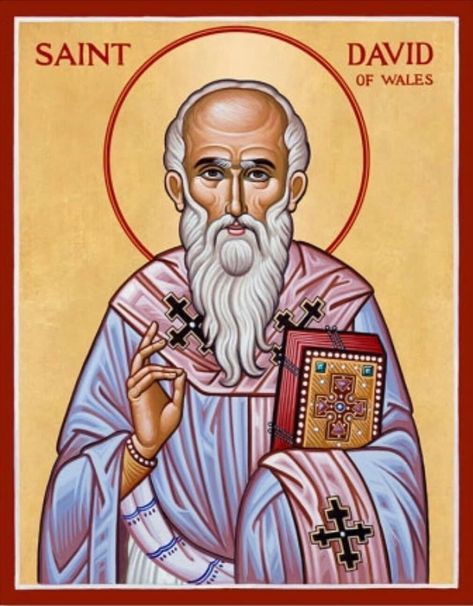 St. David of Wales | Fr. Troy Beecham Celtic Spirituality, Welsh Heritage, Monastery Icons, Celtic Christianity, Orthodox Saints, Christian Iconography, Family Tree With Pictures, St David, St Cuthbert