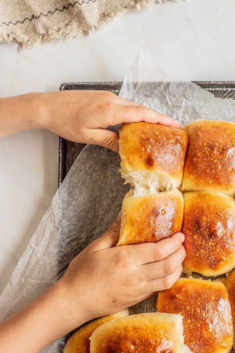 Soft Sourdough Dinner Rolls Recipe - Home Grown Happiness Sourdough Dinner Rolls Farmhouse On Boone, Honey Butter Sourdough Rolls, Sourdough Dinner Roll Recipes, Milk And Pop Sourdough Rolls, Parker House Rolls Made With Sourdough, Sourdough Soft Dinner Rolls, Sourdough Rolls For Thanksgiving, Sourdough Dinner Rolls Overnight, Fluffy Sourdough Dinner Rolls