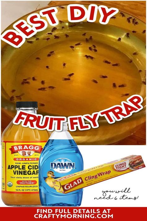 DIY repellant. Natural fly repellant. How to get rid of flues. Tips to get rid of flies. If you don't want to use chemicals to kill flies, then try some of these natural fly traps and fly repellents instead. Diy Fly Traps Indoor, Diy Get Rid Of Fruit Flies, Bug Traps Homemade, Fly Catcher Diy Outdoor, How To Catch And Kill Nats, Fly Trap Homemade Outdoor, Nat Traps Diy, Killing Fruit Flies In House, Remove Fruit Flies