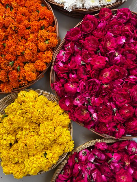 Gateway Of India, Travel Architecture, Indian Culture, Mumbai India, Culture Travel, Dark Pink, Pink Yellow, Mumbai, Desi