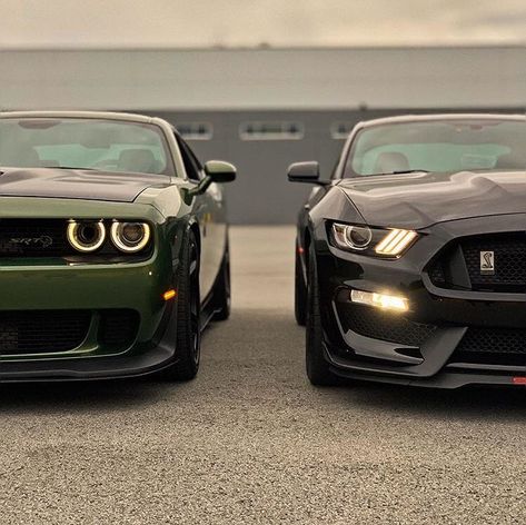 Mustang Car Duo, Mustang Gt500, New Luxury Cars, Pimped Out Cars, Lux Cars, Car Goals, Mustang Cars, Pretty Cars, Mustang Shelby