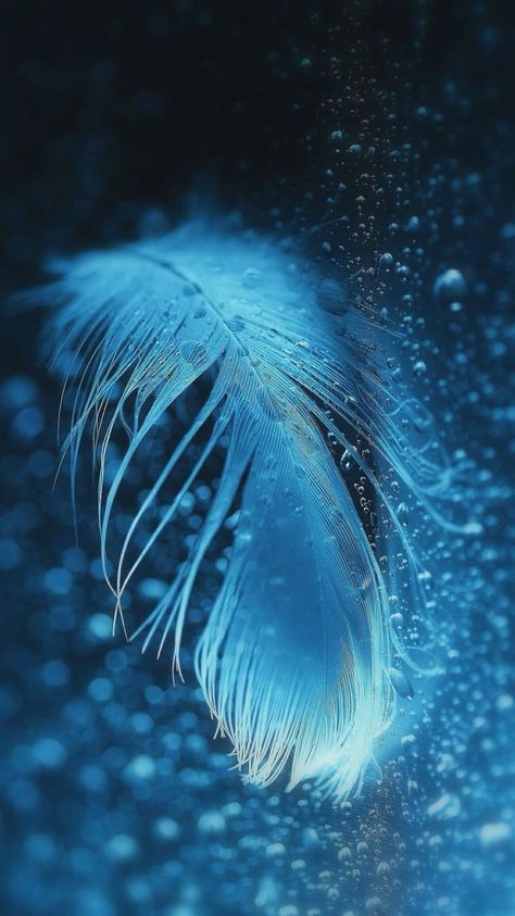 Blue Feather, Blue Dream, Foto Art, Feeling Blue, Love Blue, Something Blue, الرسومات اللطيفة, Blue Aesthetic, Blue Hues