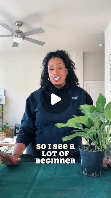 House Plant Nirvana on Instagram: "How to repot your houseplants 101 🎉 by @botanicallybe   follow @botanicallybe for more fabulous plant care content!  DM for credit or removal request (no copyright infringement intended).💡💡 🔗 All rights and credits reserved to the respective owner(s) video cred: @botanicallybe on tiktok!  #plantcaretip #plantcare #plantcare101 #plantcareisselfcare #plantlovers #plantparent #plantmom #plantdad #plantjokes #plantdecor #plantshelfie #planthoarder #plantasdecasa #plantsmakemehappy #plantasdeinterior #houseplant #houseplantlove #houseplantsmakemehappy #houseplantdiary #houseplanthome #houseplantaesthetic #houseplanthoarder #houseplanthobbyist #houseplantsociety #houseplantdecor #houseplantshop #houseplantcollector #houseplantinspiration #houseplantcollecti How To Repot A Plant, Repotting House Plants, Rare House Plants, Plant Jokes, Repotting Plants, What House, Plant Aesthetic, House Plants Decor, Plant Mom