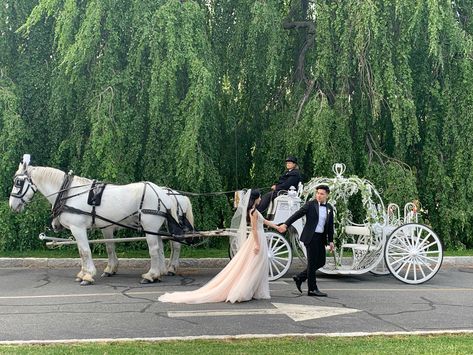 Cinderella Carriage with 2 white horses for weddings and more Wedding Entrance Ideas, Horse And Carriage Wedding, Shrek Wedding, Wedding Carriage, Horse Wedding, Cinderella Carriage, Entrance Ideas, Dream Wedding Decorations, Extravagant Wedding