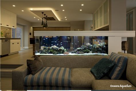 Aquarium Wall, Wall Dividers, Custom Aquarium, Wall Aquarium, Amazing Aquariums, Fish Tank Design, Aquarium Terrarium, Home Aquarium, Aquarium Design