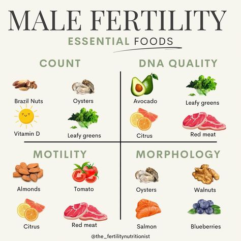 Male Fertility Boost, Healthy Pregnancy Diet, Fertility Nutrition, Sperm Health, Fertility Foods, Healthy Pregnancy Tips, Fertility Health, Improve Fertility, Healthy Hormones