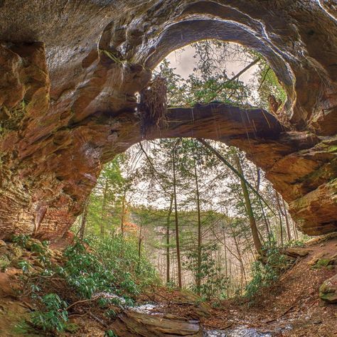 Kentucky Hiking, Red River Gorge Kentucky, Kentucky Attractions, Kentucky Vacation, Oregon Trip, Kentucky Travel, Sky Bridge, Red River Gorge, Natural Bridge