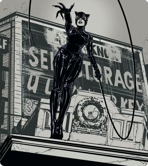 Spider Man Ps4, Catwoman Comic, Catwoman Selina Kyle, Catwoman Cosplay, Julie Newmar, Cat Women, Dc Icons, Batman And Catwoman, Cat Woman