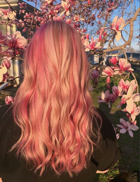 Highlights In Blonde Hair Colorful, Long Blonde Hair With Pink Highlights, Pink To Blonde Hair, Pink Hair On Blonde, Pink Hair With Blonde Highlights, Blonde Hair With Color Streaks, Pink And Ginger Hair, Blonde Hair With Pink Streaks, Cute Dyed Hair