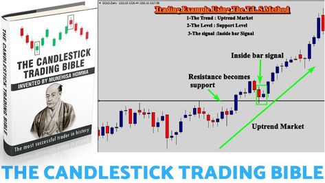 Hello and welcome to my Candlestick Trading Bible Review! As you may know, price action trading is one of the most effective methods to trade binary options, forex or any other trading instrument, and one of the best ways to analyze market movements are Candlestick patterns and formations! Price Action Trading, Bible Pdf, Wave Theory, Candlestick Chart, Candlestick Patterns, Price Action, Financial Instrument, Make Millions, Binary Options