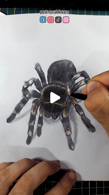 Cornspiration on Instagram: "Cómo dibujar una Tarántula #dibujo #Arte #tutorial #drawing #art" Tutorial Drawing, Drawing Art, On Instagram, Instagram, Art