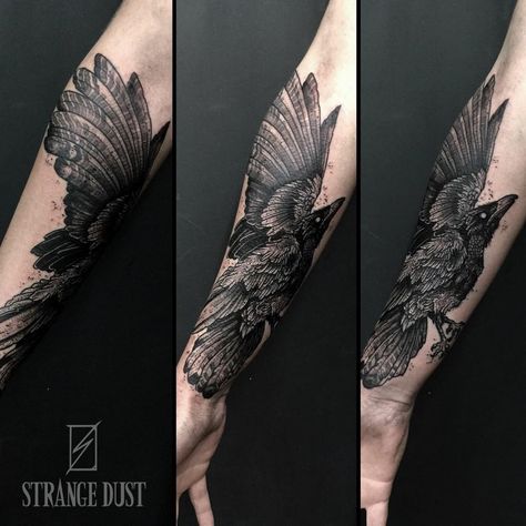 Raven Tattoo Leg, Raven Knee Tattoo, Raven Half Sleeve Tattoo, Realism Raven Tattoo, Raven Tattoo Color, Gothic Raven Tattoo, Crow Forearm Tattoo, Raven Tattoo Forearm, Raven Tattoo Arm