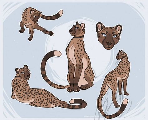 Cheetah Drawing, Cats Art Drawing, Warrior Cat Drawings, Big Cats Art, Warrior Cats Art, Canine Art, Creature Drawings, Art Character Design, Pet Art