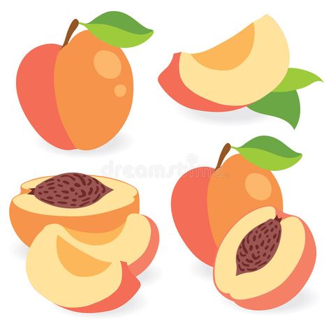 Nectarine Drawing, Peach Slice Drawing, Peach Cartoon, Peach Clipart, Peach Illustration, Peach Vector, Peach Clipart Fruit, Mango Vector, Peach Fruit Illustration