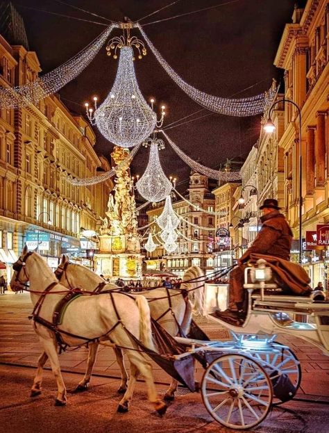 Christmas in Vienna Vienna Winter, Berlin Winter, Budapest Christmas, Austria Winter, Vienna Christmas, Christmas In Europe, Christmas Travel, Vienna Austria, Photo Challenge