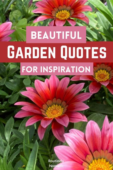 Did you just have the most amazing time enjoying your gardens and are now looking for the best garden quotes for Instagram? Here are the best cute, funny, inspirational, short, and beautiful poems and quotes about gardens. Or chose garden captions for Instagram. Find the best one that fits your experience, picture or just inspires you! Quotes About Gardens, Garden Captions For Instagram, Garden Captions, Gardening Quotes Inspirational, Quotes For 2023, Garden Poems, Poems And Quotes, Beautiful Poems, Inspirational Funny