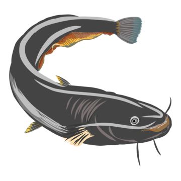 ikan,ikan lele,satwa,kartun,ilustrasi ikan,ikan lucu,kartun ikan,akuatik,rancangan,alam,penangkapan ikan,laut,ikan berwarna,ikan laut,imut,segar,pescado,makanan,digambar tangan,akuarium,makanan laut,hari ikan lele nasional,air,pecel lele,berenang,margasatwa,grafis,ilustrasi,vektor,sungai,terpencil,bawah air,menggambar,ikan salmon,liar,mengatur,antik,seni,koleksi,retro,hitam,air tawar,elemen,fauna,nelayan,logo,tidak bisa,predator,digambar,menangkap Ikan Lele Logo, Ikan Salmon, Ikan Lele, Font Aesthetic, Ikan Air Tawar, Bawah Air, Animal Png, Catfish, Download File