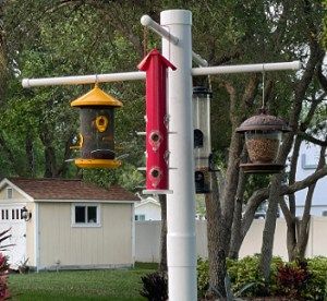 Bird Feeder Hangers, Bird Feeder Station, Hanging Objects, Bird Feeder Stands, Backyard Birds Sanctuary, Backyard Birds Feeders, Birdhouse Ideas, Bird Craft, Bird Feeder Poles