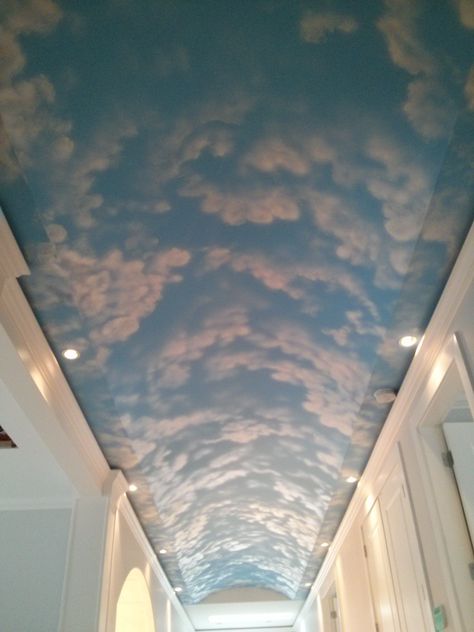 Painted Sky Ceiling, Beyonce Cowgirl, Ceiling Paintings, Ceiling Artwork, Cloud Ceiling, Wildlife Landscape, Sky Ceiling, Interior Murals, Portraits Drawing