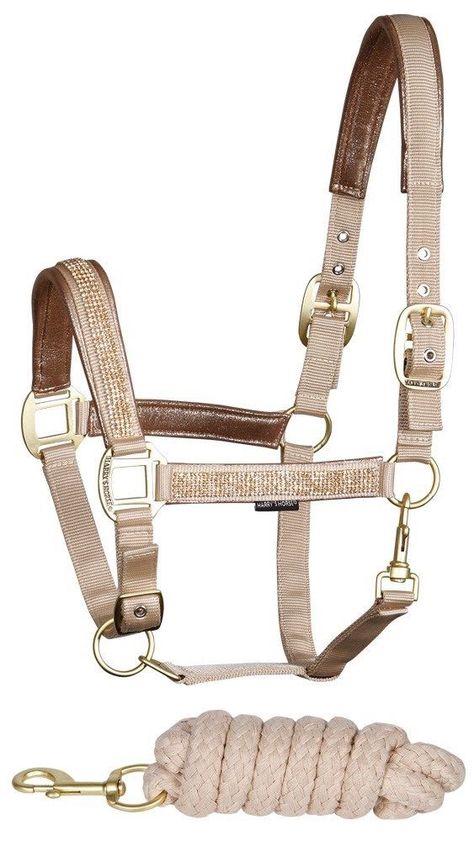 Cai Arabi, Horse Riding Gear, English Horse Tack, Horse Riding Boots, Horse Halters, Equestrian Helmet, English Horse, Horse Fashion, Horse Equipment