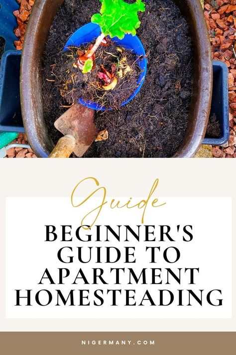 Learn how to become an urban homesteader and how to start your apartment homesteading journey, even if you live in an apartment. Get inspired with our beginner's guide! Apartment Homesteading, Start Homesteading, Homesteading For Beginners, Homestead Inspiration, Vegetable Scraps, Homesteading Skills, Rental Apartment, Holistic Care, Herbal Recipes