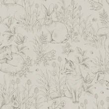 Kids Wallpaper : Wallpaper Direct Headboard Inspiration, Woodland Illustration, Natural Calm, Forest Mural, Sandberg Wallpaper, Bright Wallpaper, Friends Wallpaper, Bleu Pastel, Brown Wallpaper