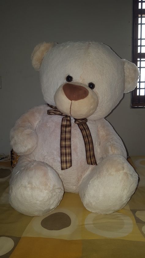 Teddy Day Snap, Big Teddy Bear Gift, Teddy Bear Snap, Teddy Bear Pics, Snaps Pics, Teddy Snap, Cute Old Couples, Hug Photos, Fake Gifts