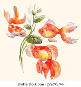 Goldfish Watercolor, Gold Fish Painting, T Shirt Graphics, Fish T Shirt, Sea Creatures Art, Watercolor Fish, Watercolour Inspiration, Watercolor Red, Shirt Graphics