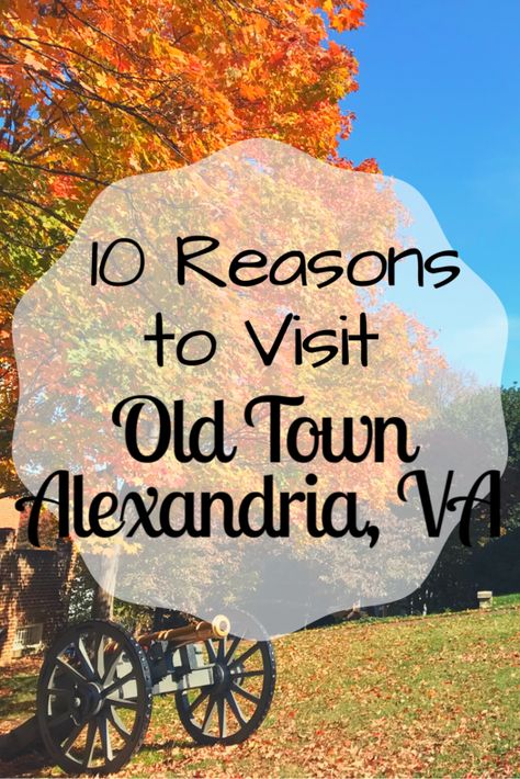 10 Reasons to Visit Old Town Alexandria, VA Christmas In Alexandria Va, Best Small Towns In Virginia, What To Do In Alexandria Va, Old Town Virginia, Alexandria Va, Washington Dc With Kids, Old Town Alexandria Va, Washington Dc Vacation, Dc Vacation