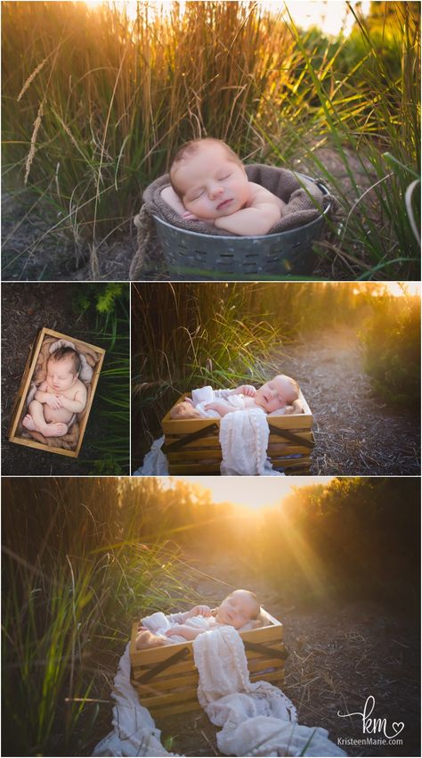 outdoor newborn photography at sunset - baby in a basket outside Newborn Photography Outside, Infant Photoshoot Ideas Outdoor, Outside Newborn Pictures, Newborn Outdoor Photoshoot Summer, Baby In Basket Pictures, Newborn Park Photography, Outdoor Lifestyle Newborn, Garden Newborn Photography, Outdoor Baby Photography