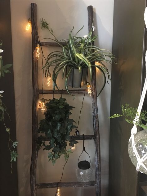 Decorating A Ladder For Fall, Ladder Hanging Plants, Ladder Decor Diy, Small Ladder Decor, Vintage Ladder Decor, Ladder With Lights, Old Ladder Decor, Old Ladder Ideas, Wood Ladder Decor