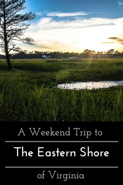 A Weekend Trip to Virginia's Eastern Shore www.casualtravelist.com Virginia Vacation, Cape Charles, Usa Destinations, Virginia Travel, Us Travel Destinations, Sweet Summertime, Travel Itinerary Template, Eastern Shore, Travel Places